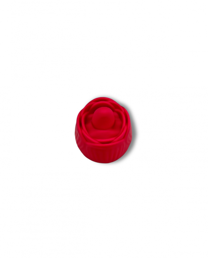 ROSE DER FREUDE - Image 2