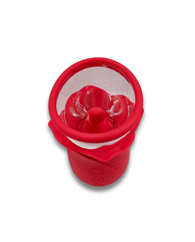 ROSE PUMP SUCTION - Image 3
